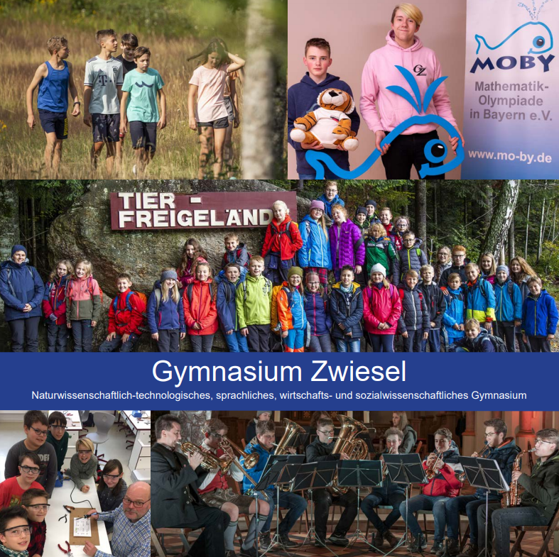 Schulflyer_Gym_Zwiesel_2021_Cover