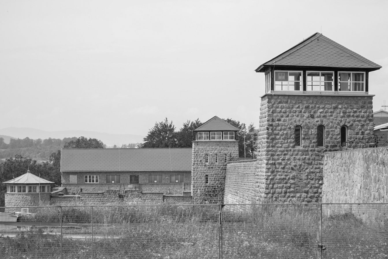 Das Lager (2)